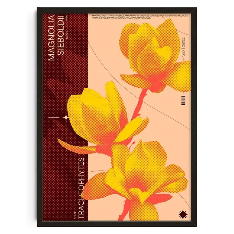 Magnolia